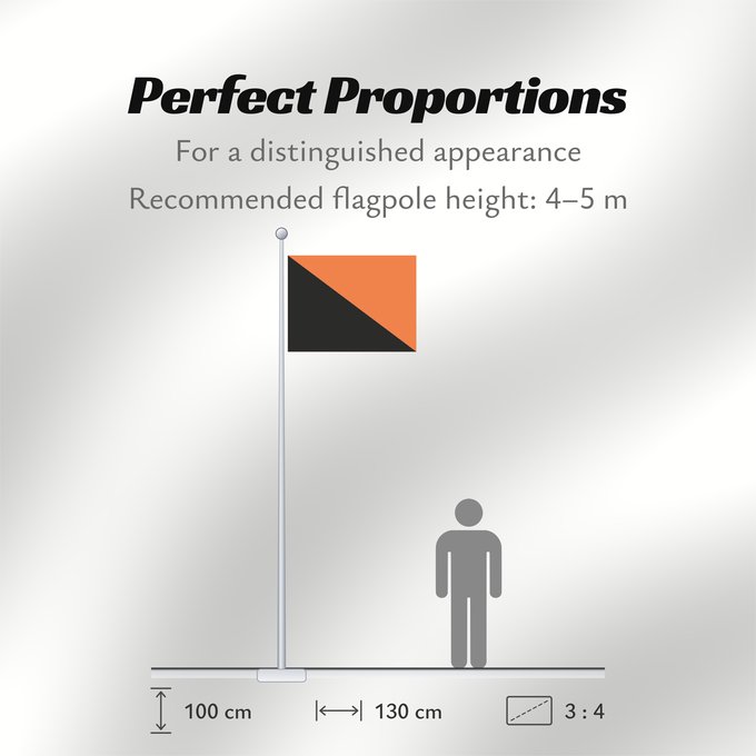 Flag Proportions: Idf engineering corps