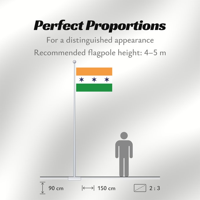 Flag Proportions: CJP