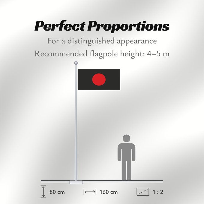 Flag Proportions: Dravidar Kazagam Tamil Nadu political party, Dravidar Kazagam