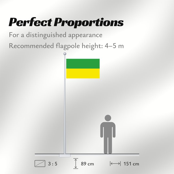 Flag Proportions: D Haryana Haryana