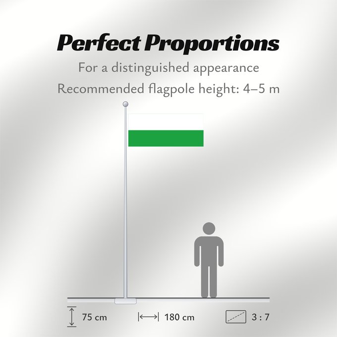Flag Proportions: Tehga