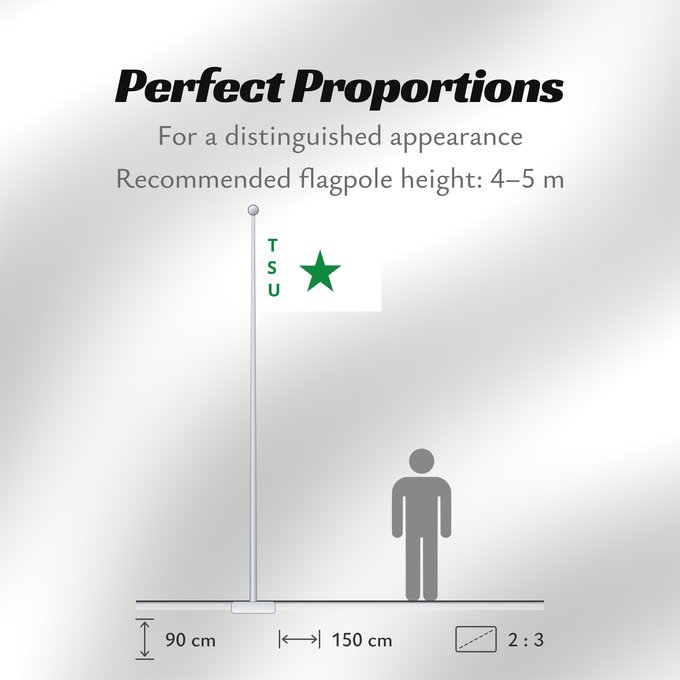 Flag Proportions: TSU