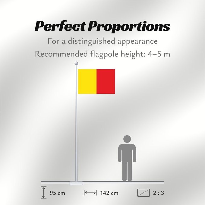 Flag Proportions: Naples Province of Naples Province de Naples Provincia de Naples Provinz Naples Napoli