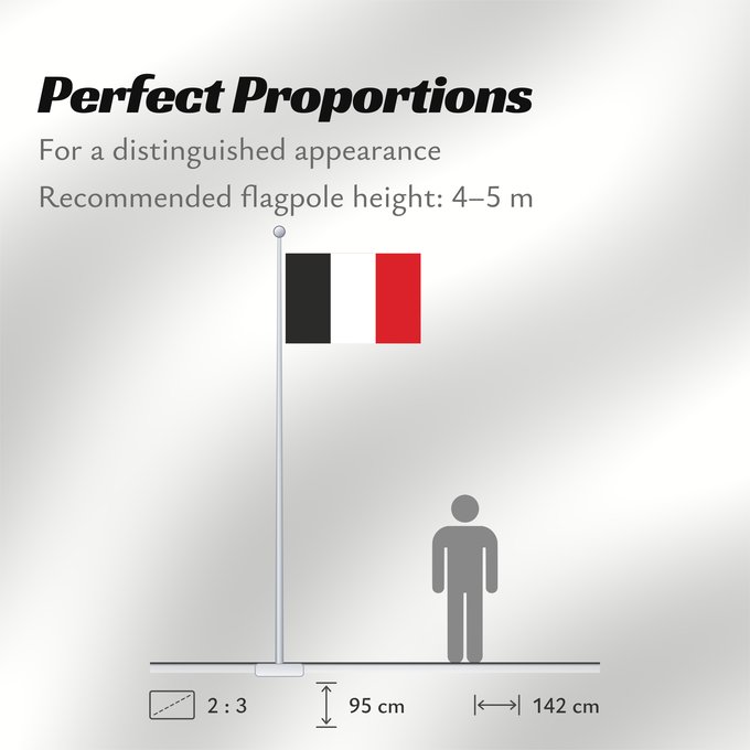 Flag Proportions: Repubblica Romana 1798	It is easy to put a border around this flag image	Repubblica Romana, 1798
