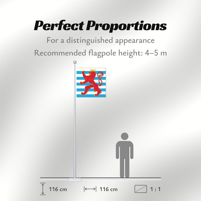 Flag Proportions: Army Colours of Luxembourg Obverse
