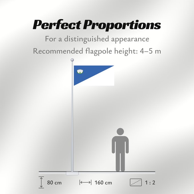 Flag Proportions: Brocēni Brocēni, Latvia Brocēnu karogs