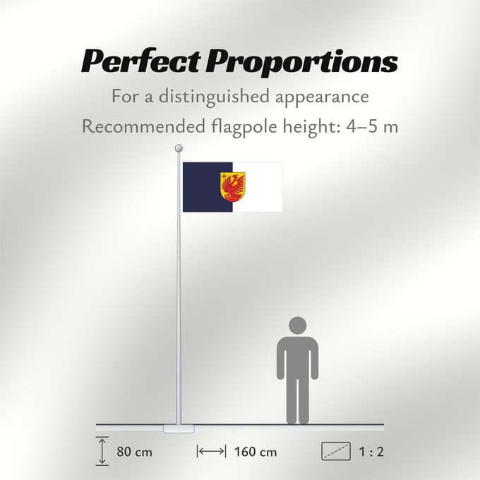 Flag Proportions: Dagda
