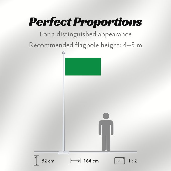 Flag Proportions: Libya 1977-2011 The national flag of the Libyan Jamahiriya from 1977 to 2011 La Libye 1977 à 2011 Libia Libyens von 1977 bis 2011 Libië van 1977 tot 2011 Líbia Pl Flaga Libii Libië علم ليبيا Banniel Libia Liibüa lipp דגל לוב リビアの国旗 1977年-2011年 Libyas fl