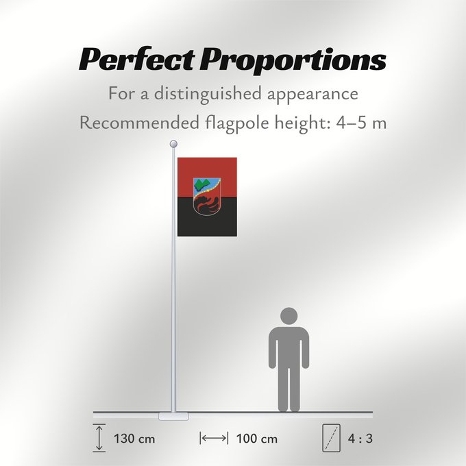 Flag Proportions: Zajas Municipality	Zajas Municipality, Macedonia	Знаме на Општина Зајас