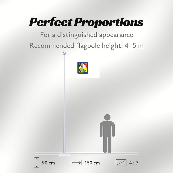 Flag Proportions: Sonora