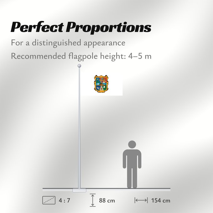 Flag Proportions: Tamaulipas