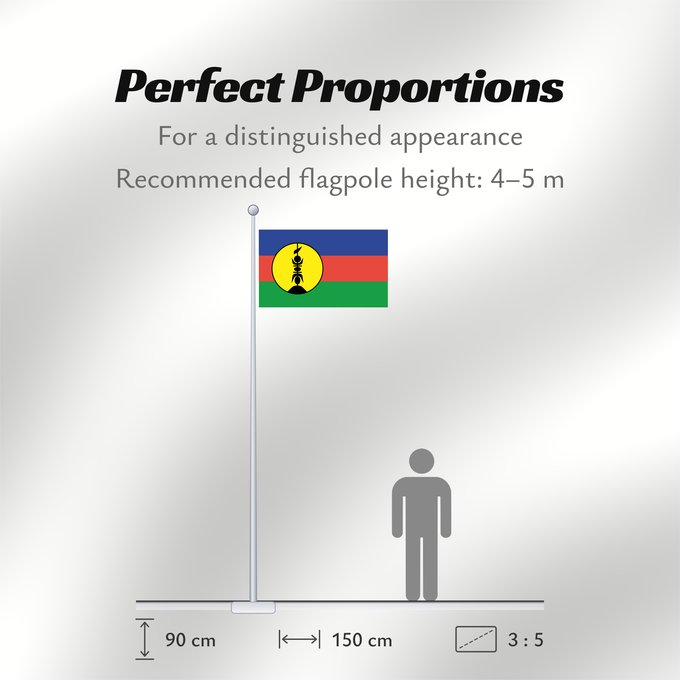 Flag Proportions: FLNKS Kanak and Socialist National Liberation Front political party Front de libération nationale kanak et socialiste Colores Pantone http //www Neukaledonien Nuova Caledonia Front d Alliberament Nacional Canac Socialista