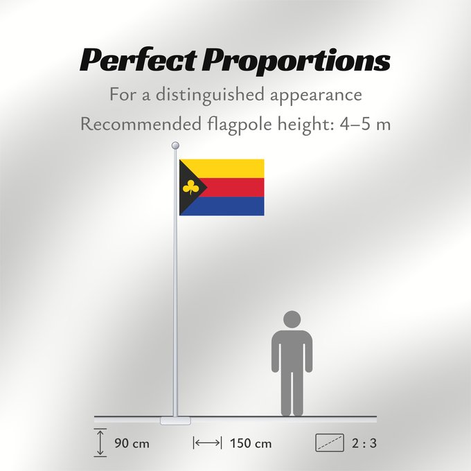 Flag Proportions: Delfzijl	Dutch municipality of Delfzijl