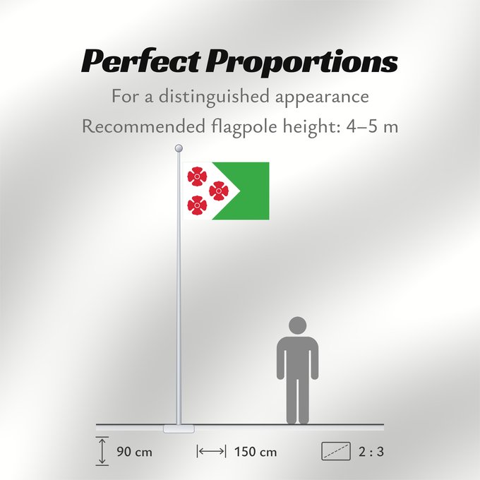 Flag Proportions: Maasdonk Dutch municipality of Maasdonk