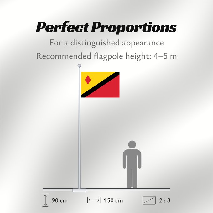Flag Proportions: Stein Stein, Limburg, the Netherlands Stein, Limbourg, les Pays-Bas Stein, Limburg, Nederland