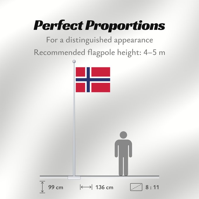 Flag Proportions: Jan Mayen