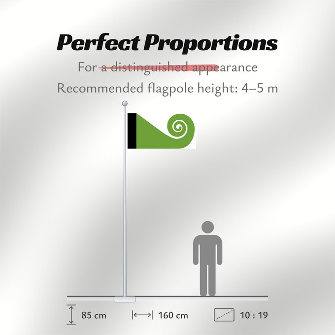 Flag Proportions: Koru	This image shows the popular Koru Flag