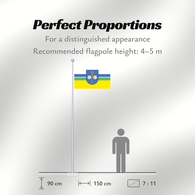Flag Proportions: Borzecin flaga	Gminy Borzęcin	Флаг гмини Боженцин