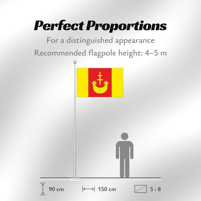 Flag Proportions: Gmina bieliny flaga	Gmina Bieliny	Gminy Bieliny