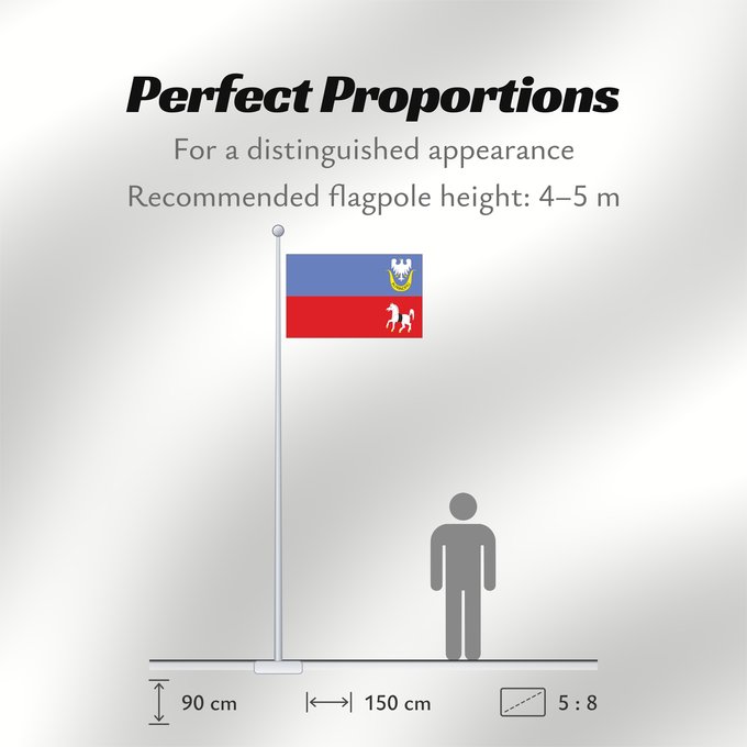 Flag Proportions: Gmina secemin flaga