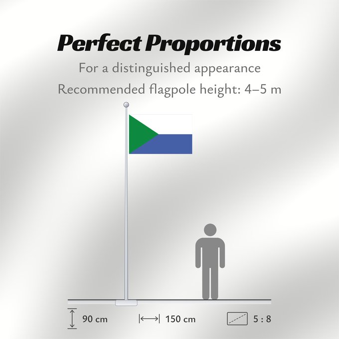 Flag Proportions: POL Blachownia