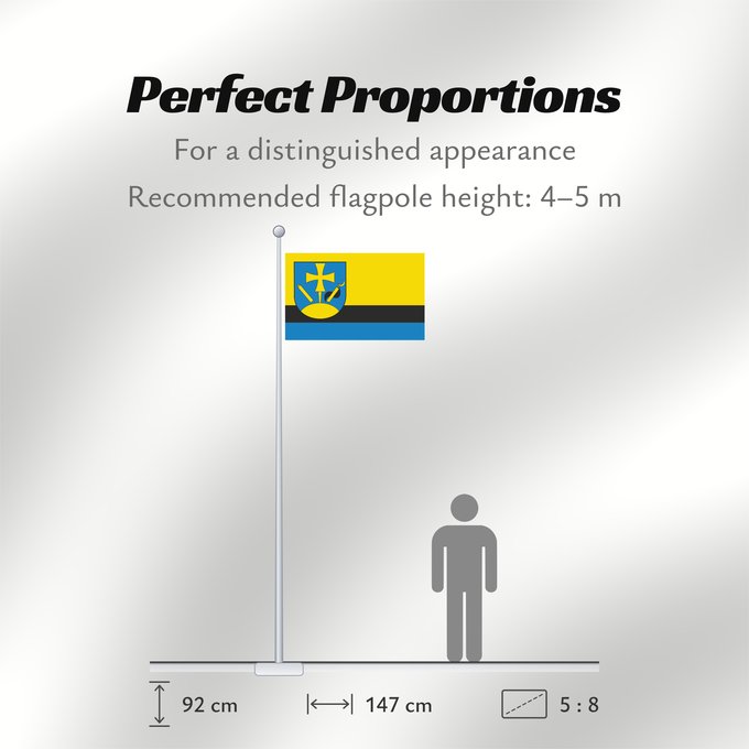 Flag Proportions: POL gmina Hyżne
