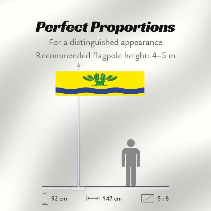 Flag Proportions: POL gmina Malbork	Gmina Malbork, Poland	Gminy Malbork, woj. pomorskie