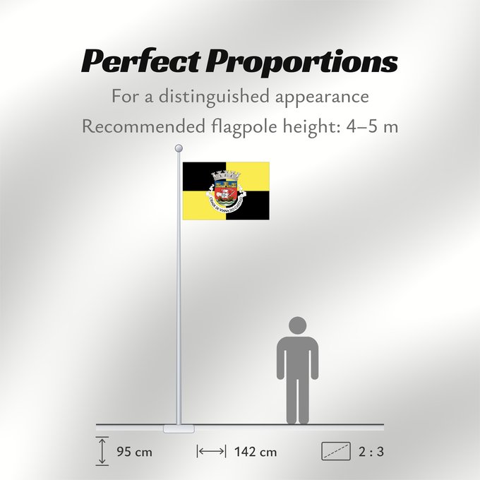 Flag Proportions: Viana do Castelo