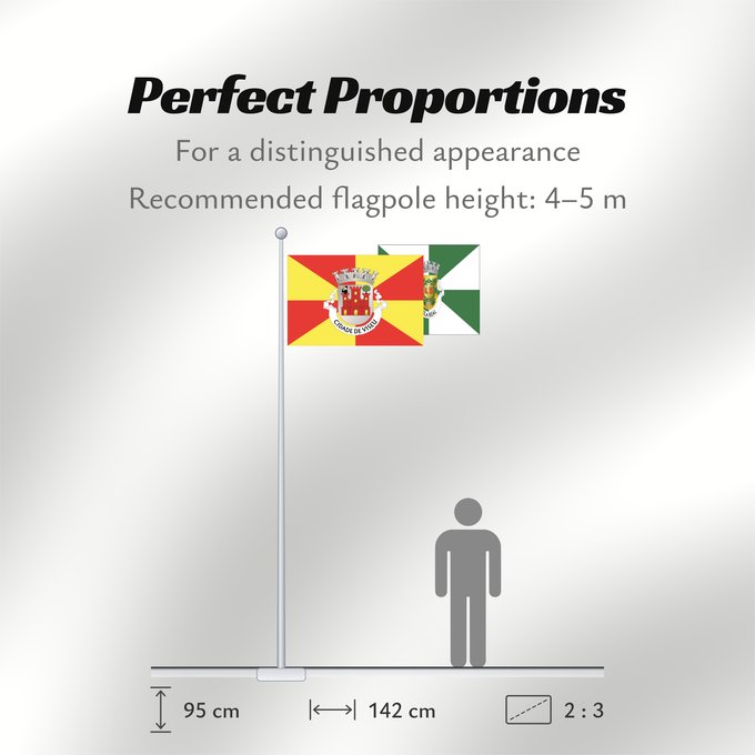 Flag Proportions: Viseu