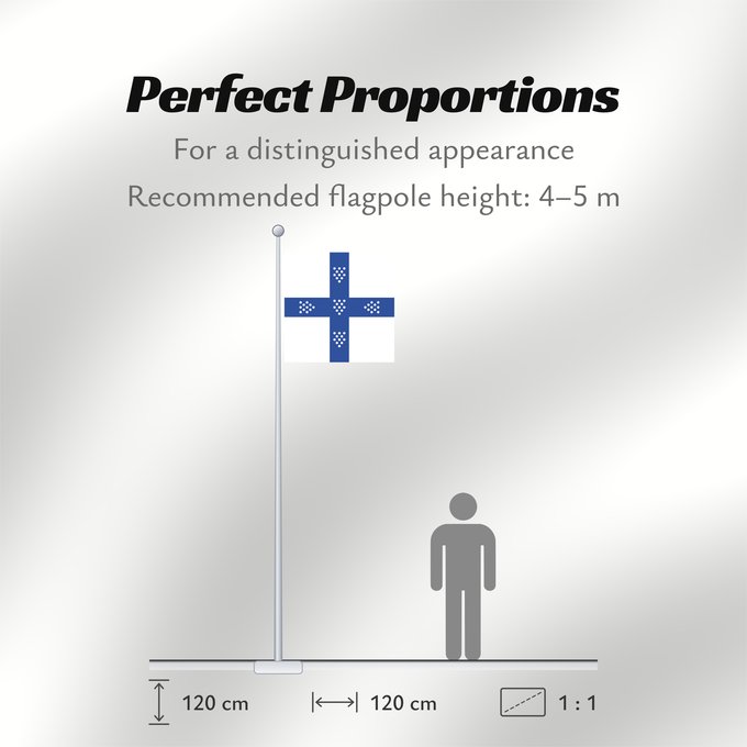 Flag Proportions: PortugueseFlag1143