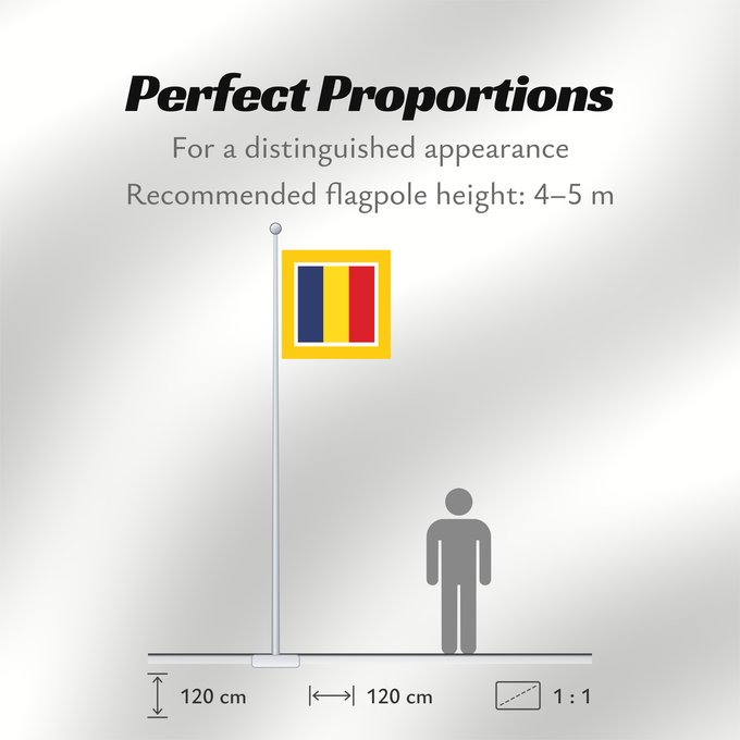 Flag Proportions: Prime Minister of Romania Premier ministre de Roumanie Primer Ministro de Rumania Premierminister von Rumänien Primo Ministro della Romania
