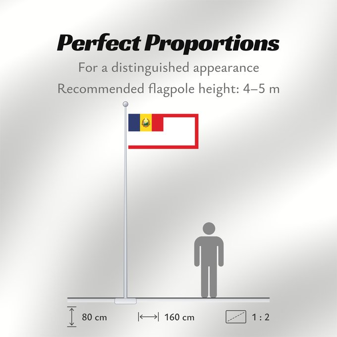 Flag Proportions: Standard of the Presidium of Romania  1948-1952	Presidential Standard of Romania (1948-1952)	Étendard présidentiel de Roumanie (1948-1952)	Estandarte Presidencial de Rumania (1948-1952)	Standarte des Präsidiums von Rumänien (1948-1952)	Stendardo presidenz