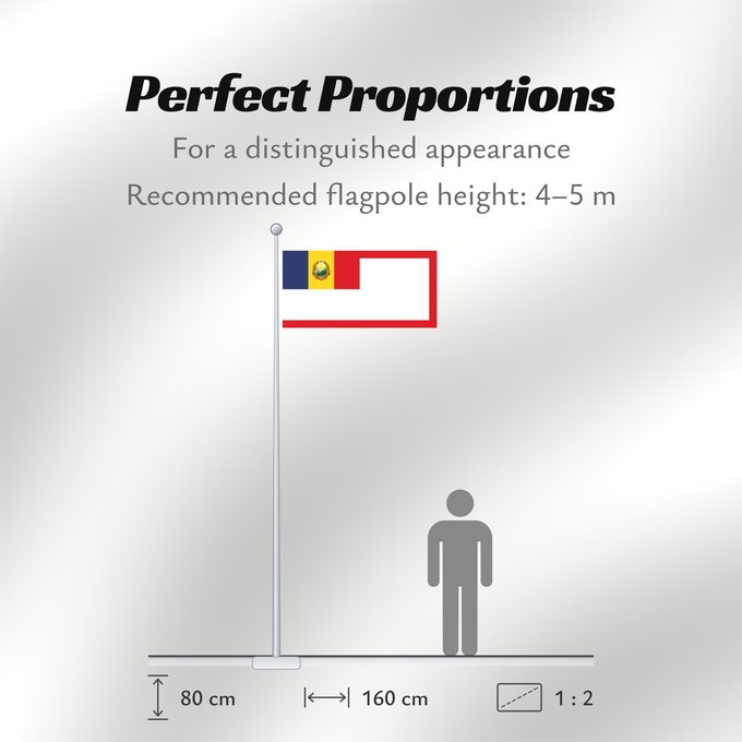 Flag Proportions: Standard of the Presidium of Romania 1952-1965 Presidential Standard of Romania (1952-1965) Étendard de la Présidence de Roumanie (1952-1965) Estandarte de la Presidencia de Rumania (1952-1965) Standarte des Präsidiums von Rumänien (1952-1965) Stendardo