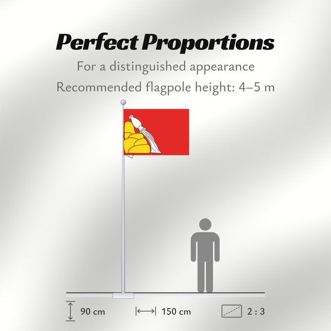 Flag Proportions: Voronezh Oblast Voronezh Oblast of Russia Oblast de Voronej Óblast de Vorónezh Oblast Woronesch Флаг Воронежской области Россия Прапор Воронезької області Росія