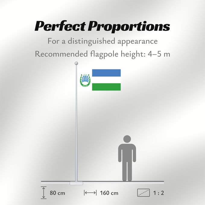 Flag Proportions: Nalchik 2009 Nalchik Naltchik Nálchik Naltschik (2009) Nalchik (2009) Naltšikin Флаг Нальчика