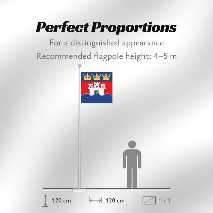 Flag Proportions: Jönköpings län vapenflagga Jönköping County in Sweden Jönköping Jönköpings läns vapenflagga