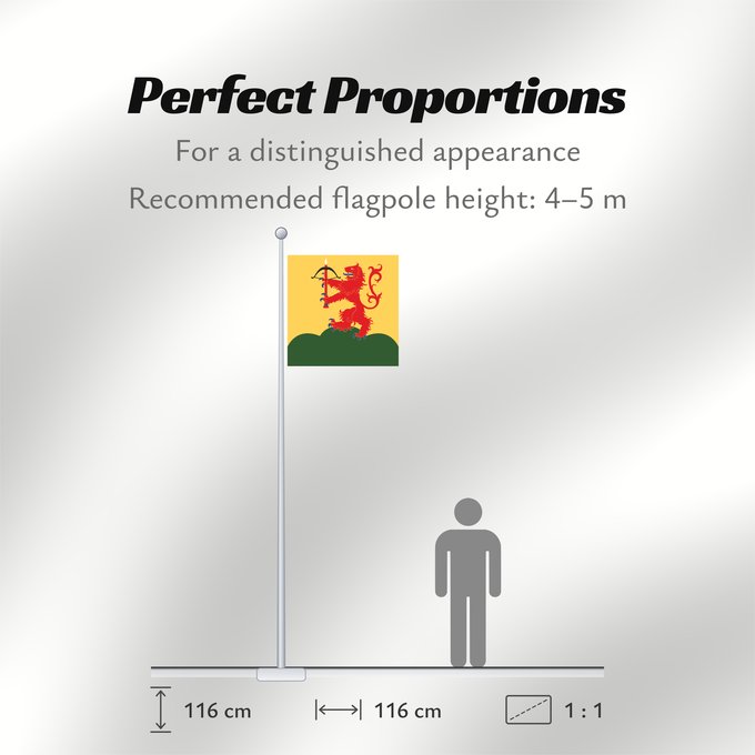 Flag Proportions: Kronobergs län vapenflagga	Kronoberg County in Sweden	Kronoberg	Provincia de Kronoberg	Kronobergs läns vapenflagga