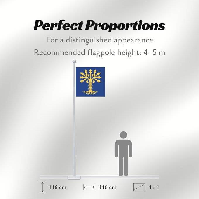 Flag Proportions: Blekinge län vapenflagga	See about CoA blazoning [Expand]	Blekinge	Blekinge läns vapenflagga
