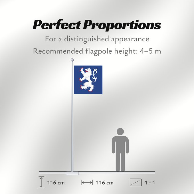 Flag Proportions: Hallands län vapenflagga	Halland County in Sweden	Halland	Hallands läns vapenflagga