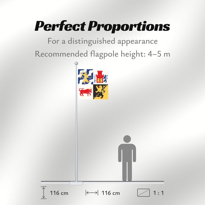Flag Proportions: Västra Götalands län vapenflagga	Västra Götaland County in Sweden	comté de Västra Götaland	provincia de Västra Götaland	Västra Götalands län	Västra Götaland County	Västra Götalands läns vapenflagga