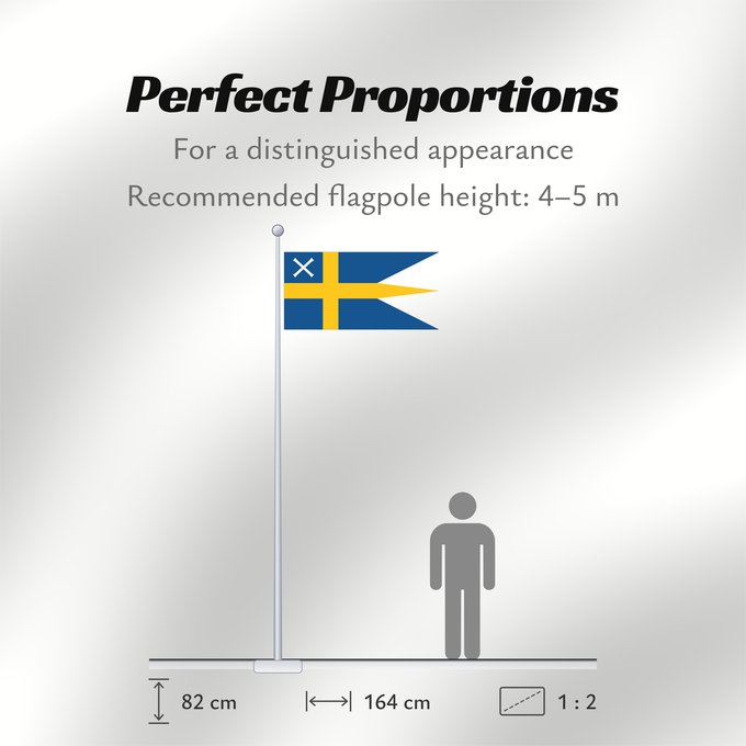 Flag Proportions: Sweden - Minister of Defence  old version	Used by the Swedish Minister of Defence	Ministre de la Défense (Suède, ancienne version)	Ministro de Defensa (Suecia, versión antigua)	Verteidigungsminister (Schweden, alte Version)	Ministro della Difesa (Svezia, 