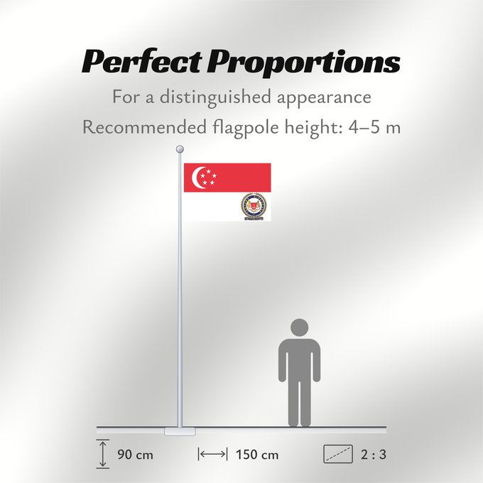 Flag Proportions: Singapore Armed Forces