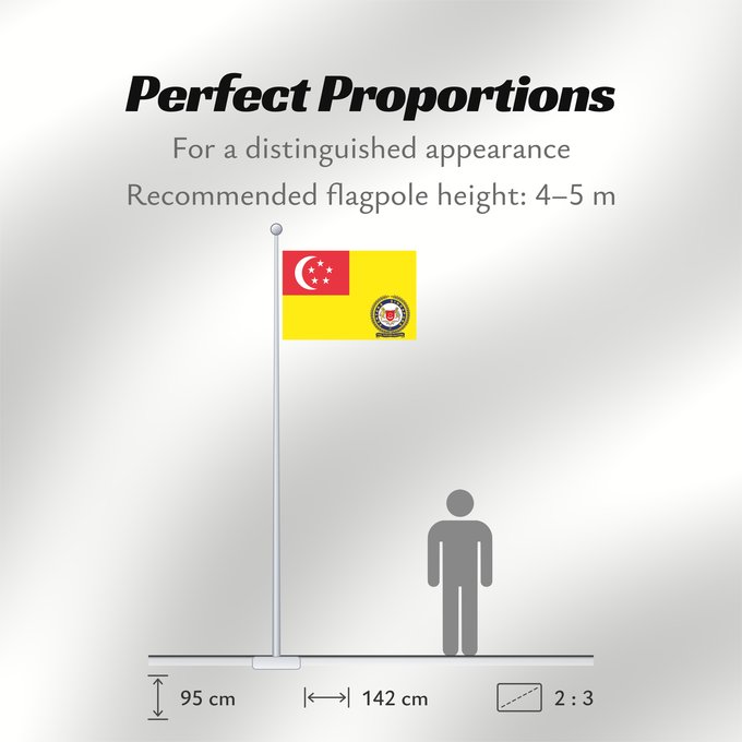 Flag Proportions: Singapore Army Service