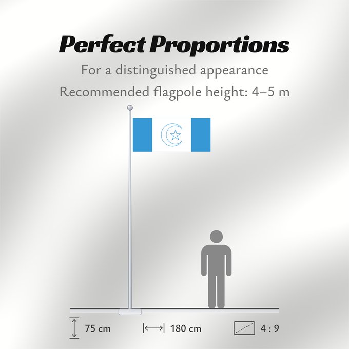 Flag Proportions: Awdalland	علم أرض أودال‎‎
