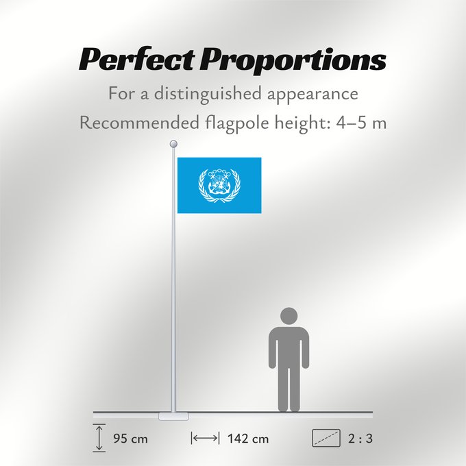 Flag Proportions: International Maritime Organization