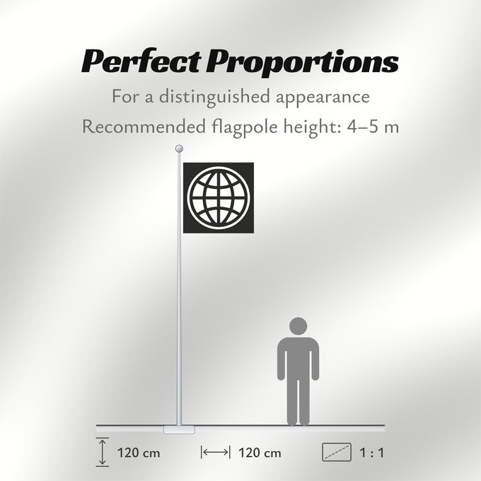 Flag Proportions: The World Bank Group