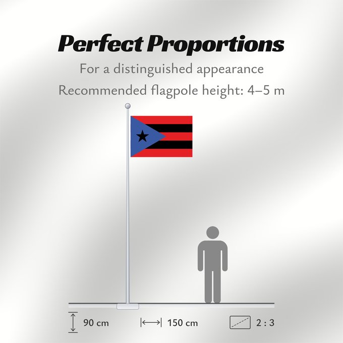 Flag Proportions: Puerto Rico