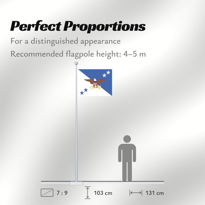 Flag Proportions: Chairman of the U.S. Joint Chiefs of Staff Chairman of the Joint Chiefs of Staff Président des chefs d'état-major interarmées Presidente de los Jefes de Estado Mayor Conjunto Vorsitzender der Joint Chiefs of Staff Presidente dei capi di stato maggiore con