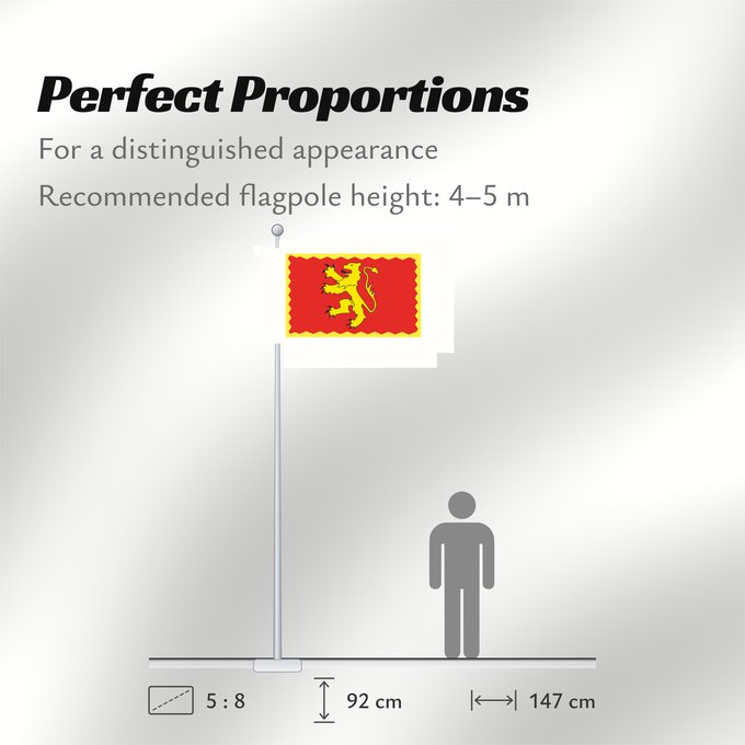 Flag Proportions: Deheubarth Welsh Kingdom of Deheubarth