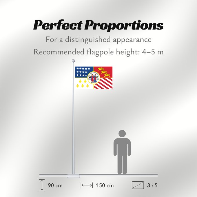 Flag Proportions: Detroit	Districti
